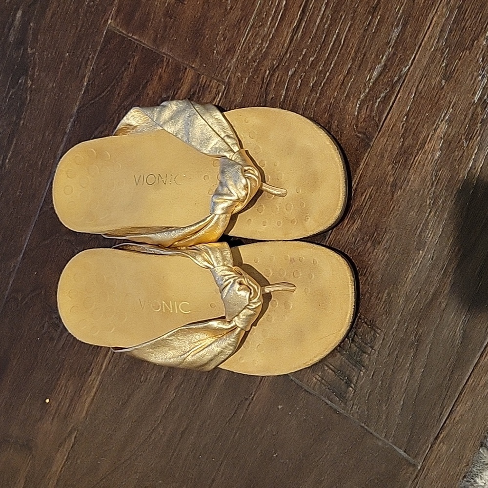Vionic Sandals
